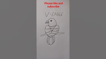 how to draw eagle easy for beginner