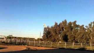 IMG_0669.MOV
