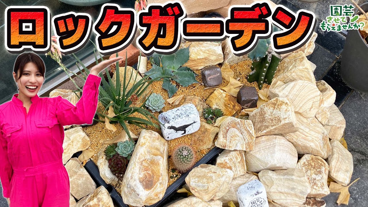 ロックガーデンに挑戦】冬でもサボテンは大丈夫!?「園芸させてもらえ