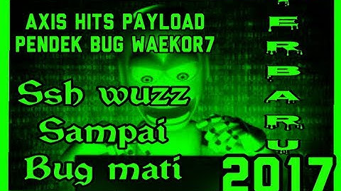 Internet gratis cara membuat config axis hits payload pendek all tkp wuzz tanpa ssh