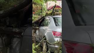 Luckily, the driver was not in the car when #tornado came through #tallahassee #fsu #fsucircus