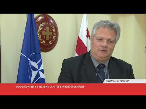 ლელა ჩიქოვანის  შეხვედრა  DCAF-ის წარმომადგენელთან