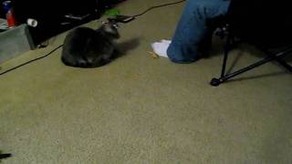 MVI_2557.AVI
