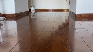 Which Food Does Norbert Like Bettercarrot Or Green Bean?