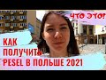 НОМЕР PESEL В ПОЛЬШЕ, ЗАЧЕМ НУЖЕН, КАК И ГДЕ ПОЛУЧИТЬ? ИДЕМ В УЖЕНД. ЖИЗНЬ И РАБОТА В ПОЛЬШЕ 2021