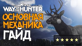 Way of the Hunter - Популяция - Основы управления - Гайд 2022