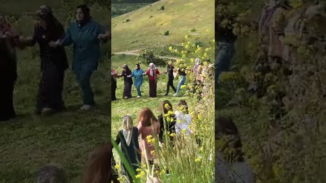 ASIK ZÜLALI YAYLA SENLIKLERI HALAYLAR 2022 POSOF ARDAHAN