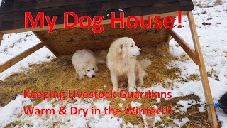 A House for Our Livestock Guardian Dogs by Briar Patch Creamery 362 views 5 years ago 2 minutes, 52 seconds