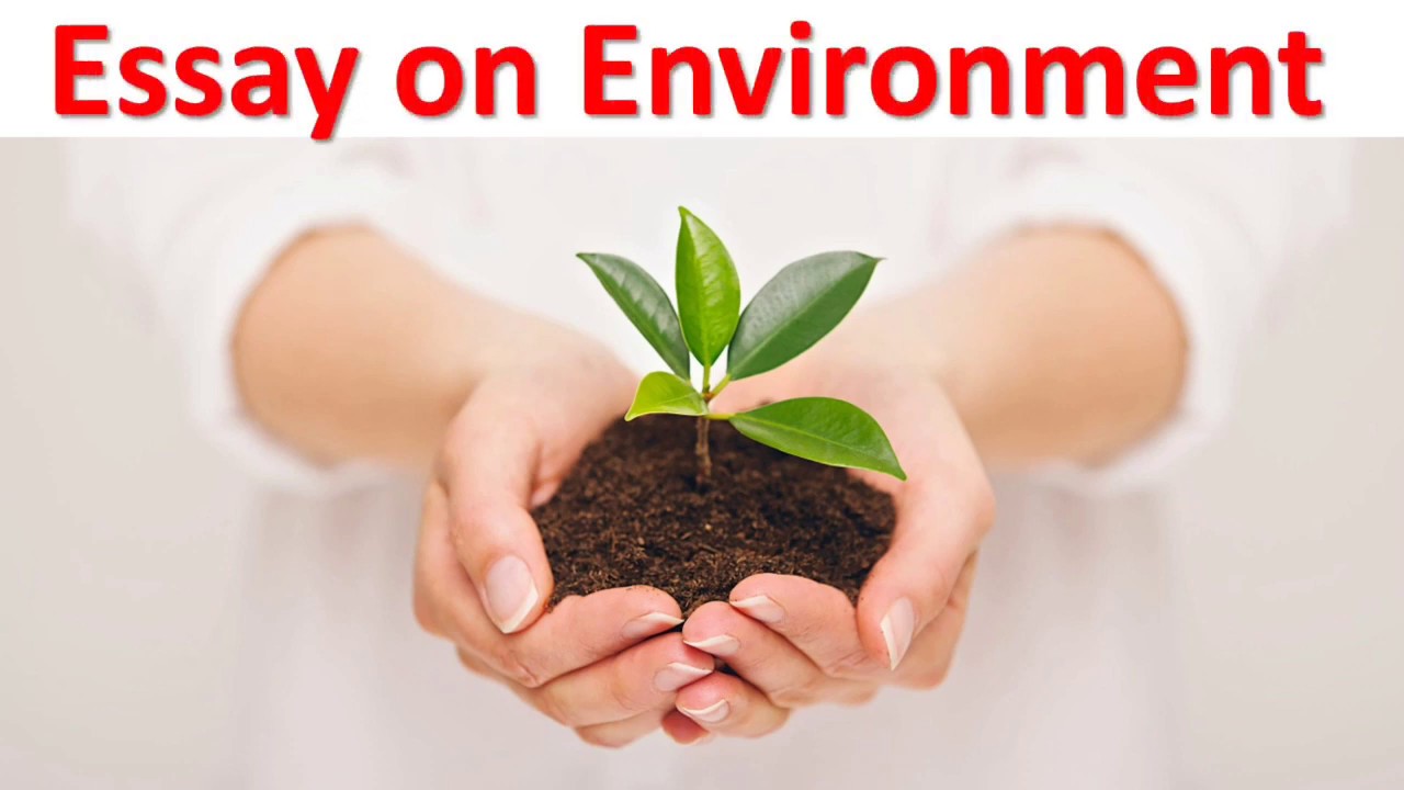 easy essay on environment