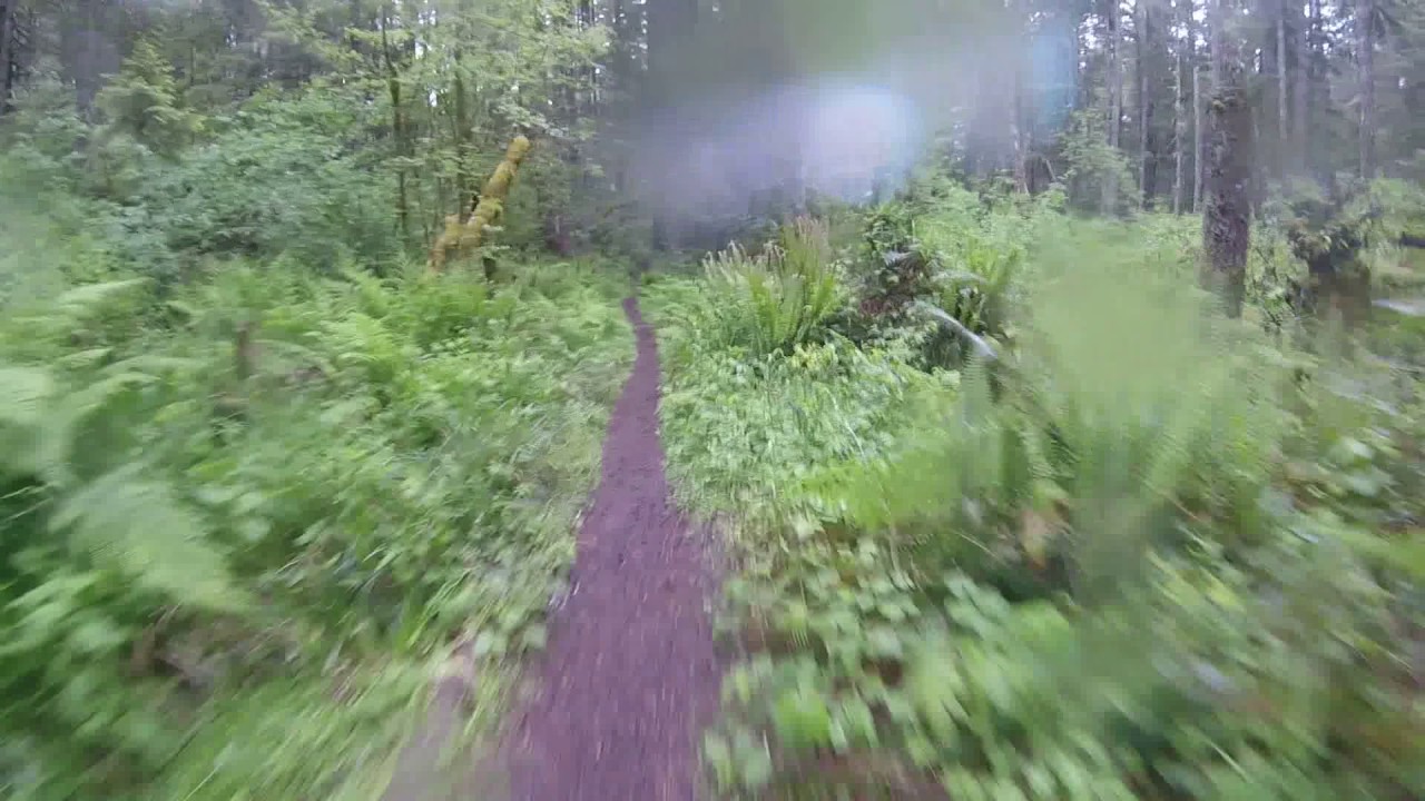 Eagle's Rest Trail Willamette National Forest Lowell Oregon 06/03/2017