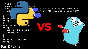 Golang vs Python - Which Programming Language is The Best?  | Python vs Golang | Python vs Go