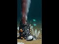 What Europa's Hidden Ocean Could Reveal About Life