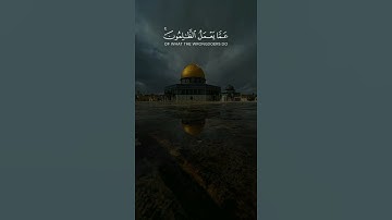 أجمل حالات واتس اب قرآن كريم بصوت نايف الفيصل | صوت خاشع يريح قلبك😴👌🏼