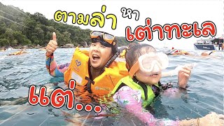 ออกล่าหาเต่าทะเล! ที่หมู่เกาะสิมิลัน! | Love Andaman หมู่เกาะสิมิลัน | แม่ปูเป้ เฌอแตม Tam Story