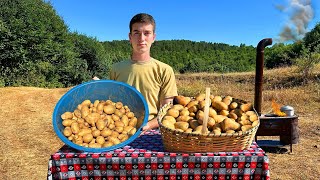 Köyde Patates Hasadı ve Türkiye’de Günlük Köy Hayatı