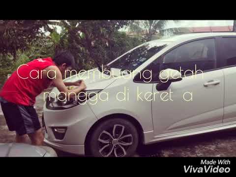 Video: Bagaimana untuk mengeluarkan getah pokok yang mengeras dari kereta?