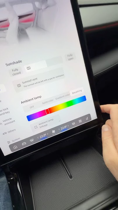 AMBIENT LIGHTS in the new GEELY CITYRAY can “BREATH” 😎