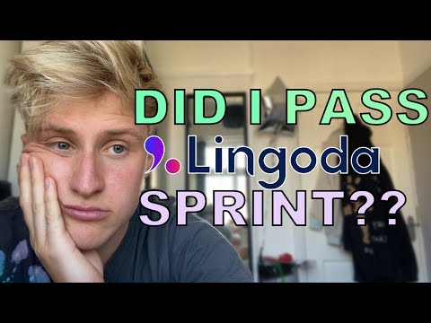 My 2nd Lingoda Sprint - Review - An Honest Review