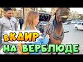 САМЫЙ ГРЯЗНЫЙ ГОРОД | ШАРМ ЭЛЬ ШЕЙХ в Каир на автобусе Go Bus