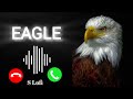 Eagle Ringtone King Ringtone Download MP3 Mobile Ringtone No Copyright Eagle Ringtone