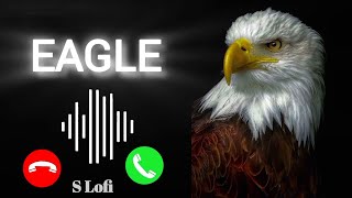Eagle Ringtone // king ringtone Download MP3 Mobile Ringtone | No Copyright Eagle Ringtone ||