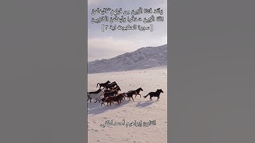 تلاوة ندية جديدة من سورة العنكبوت بصوت القارئ إبراهيم أحمد لطفي ❤️