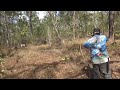 Pighunting- Cane to Cape York Part 2