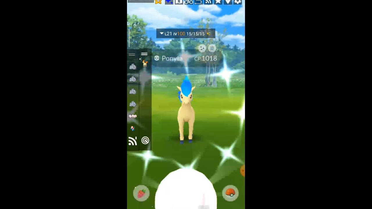Berburu Shiny Ponyta IV 100 | Pokemon Go 