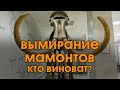 Причины вымирания мамонтов. Кто виноват?