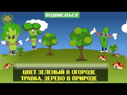 РАДУГА УЧИМ ЦВЕТА ПЕСЕНКА!?