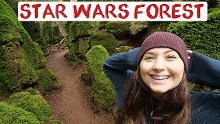 Star Wars Forest Puzzlewood Forest Of Dean England Road Trip Travel Vlog Video 17