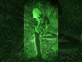 ghost horror 👻👻👻👻👿😈#ghost #horror #bhoot #ghostvideo