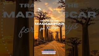 🌴 Madagascar Tours 20% OFF — Tsingy, Baobabs &amp; Kirindy | KiriTour 2025