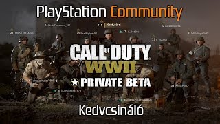 Szívás és káosz a második világháború csataterein. | CoD WW2 Private Beta - preview by ColdHand
