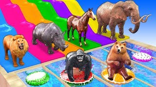 Learn Wild Animals Plays In Swimming Pool Inflatable Toys For Kids - Learn Animals Names & Sounds