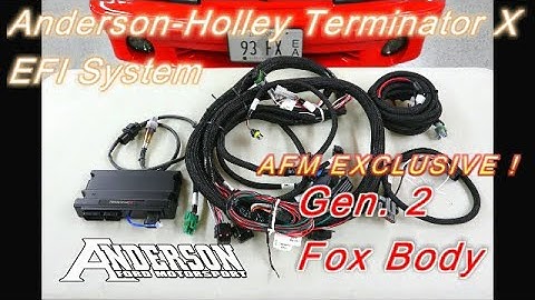 "Discontinued" AFM-Holley Terminator X Gen 2 Fox Body EFI Kit