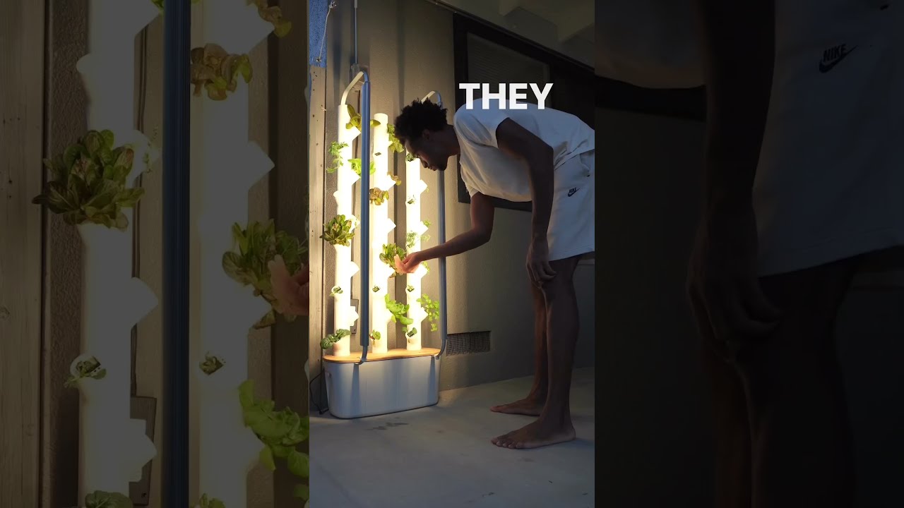 Grow Your Own Food Indoors With Gardyn Gardening