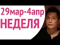 Гороскоп недели 29 марта 4 апреля - Движение на полном ходу.  Полнолуние 28 марта гороскоп Чудинов