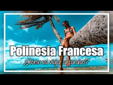 Vídeo: Las Mejores Cosas Para Hacer En Moorea, Tahití, En La Polinesia Francesa