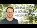 Mindfulness vmavost a zvislosti michal dvok