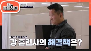 강 훈련사의 손에 달린 빅의 운명! 어느 정도 달라진 빅의 태도에 놀라는 제자들! [개는 훌륭하다/Dogs Are Incredible] | KBS 240429 방송