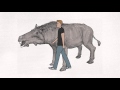 Prehistoric Animals Quiz