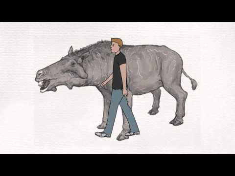 6 Notorious Prehistoric Animals (That Aren&rsquo;t Dinosaurs)- Learning Lockit