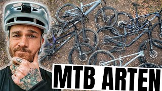 MTB Arten erklärt: Cross Country, All Mountain, Enduro, Downhill, EMTB & Dirt Jump | Fabio Schäfer