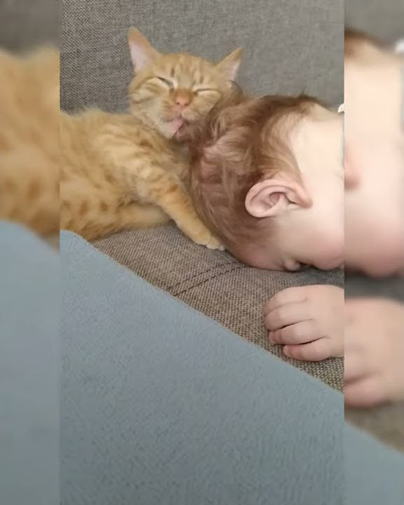 Ох ця любофф ❤️