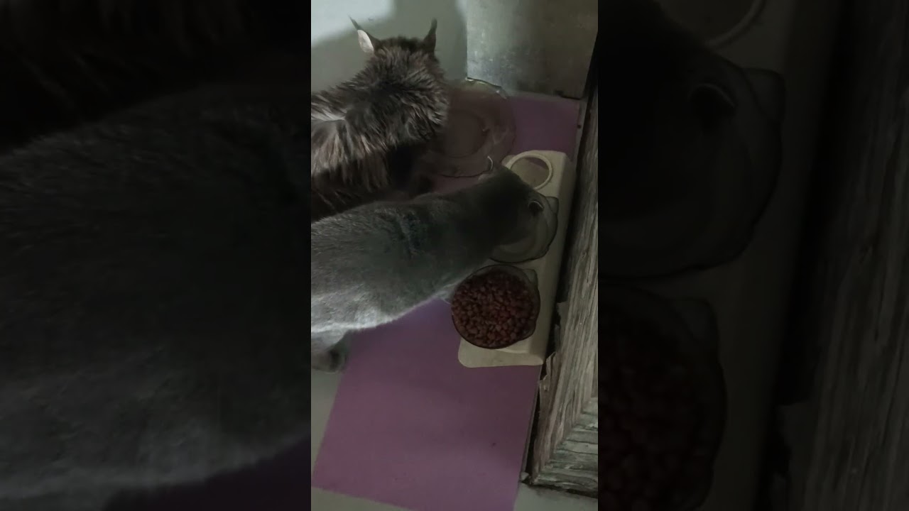 Гости подкрепление 😉😁