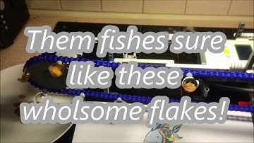 Lego NXT fish feeder