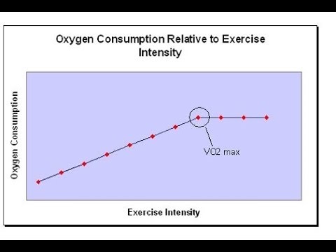 Heart Rate and VO2