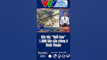 Gió lốc "thổi bay" 1.000 tấn sầu riêng ở Bình Thuận | VTVWDB