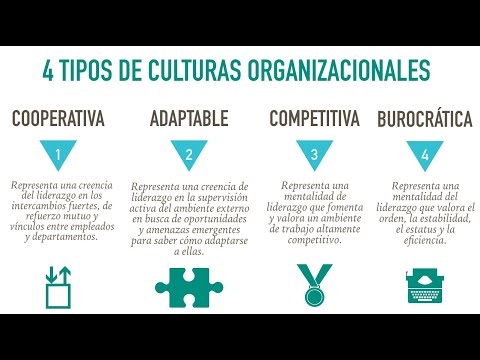 Diversidad En El Liderazgo: Por Qué Es Importante Y Qué Puede Hacer Usted